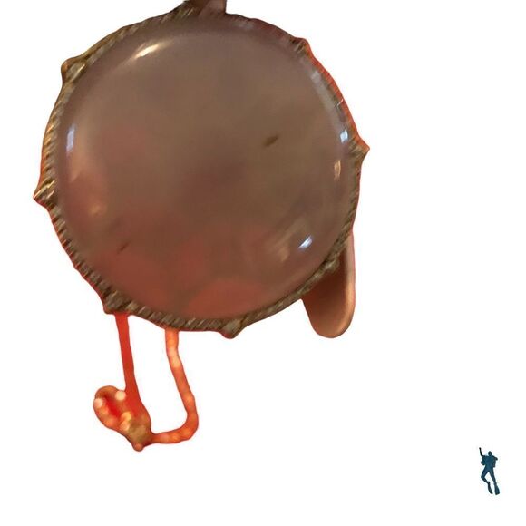 💥💥Imperfect quarts💥💥 on 14c Plated medallion on 18 inch t - Picture 5 of 5